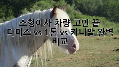 소형이사 차량 고민 끝! 🚚 다마스 vs 1톤 vs 카니발 완벽 비교
