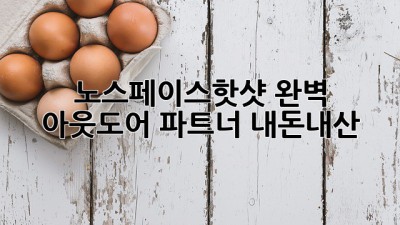 노스페이스핫샷🎒 완벽 아웃도어 파트너! #내돈내산